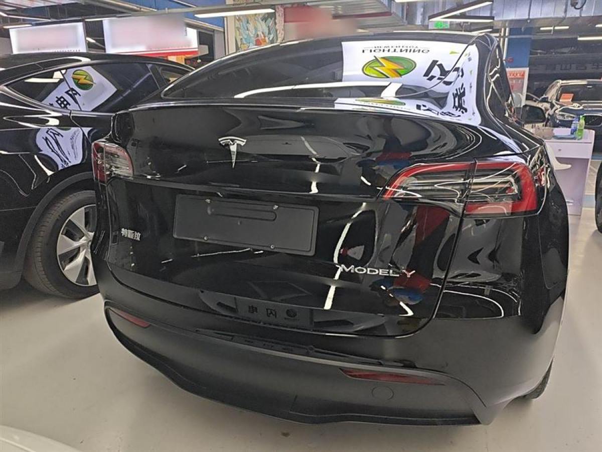 特斯拉 Model 3  2020款 改款 長續(xù)航后輪驅(qū)動版圖片