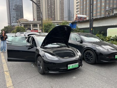 2021年6月 特斯拉 Model 3 标准续航后驱升级版图片