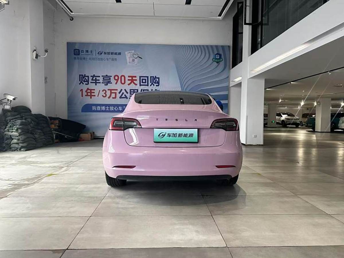 特斯拉 Model 3  2021款 標(biāo)準(zhǔn)續(xù)航后驅(qū)升級(jí)版 3D6圖片