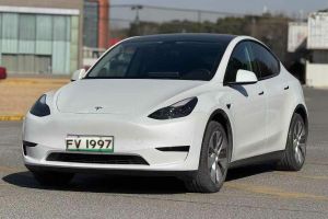 Model 3 特斯拉 Performance高性能全輪驅(qū)動(dòng)版