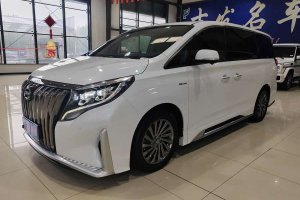 M8 廣汽傳祺 大師系列 390T 至尊版