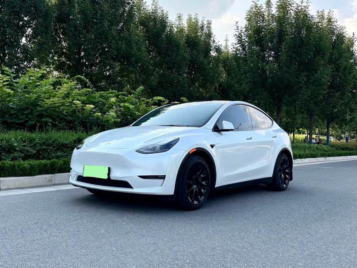 特斯拉 Model Y  2021款 標(biāo)準(zhǔn)續(xù)航后驅(qū)版圖片