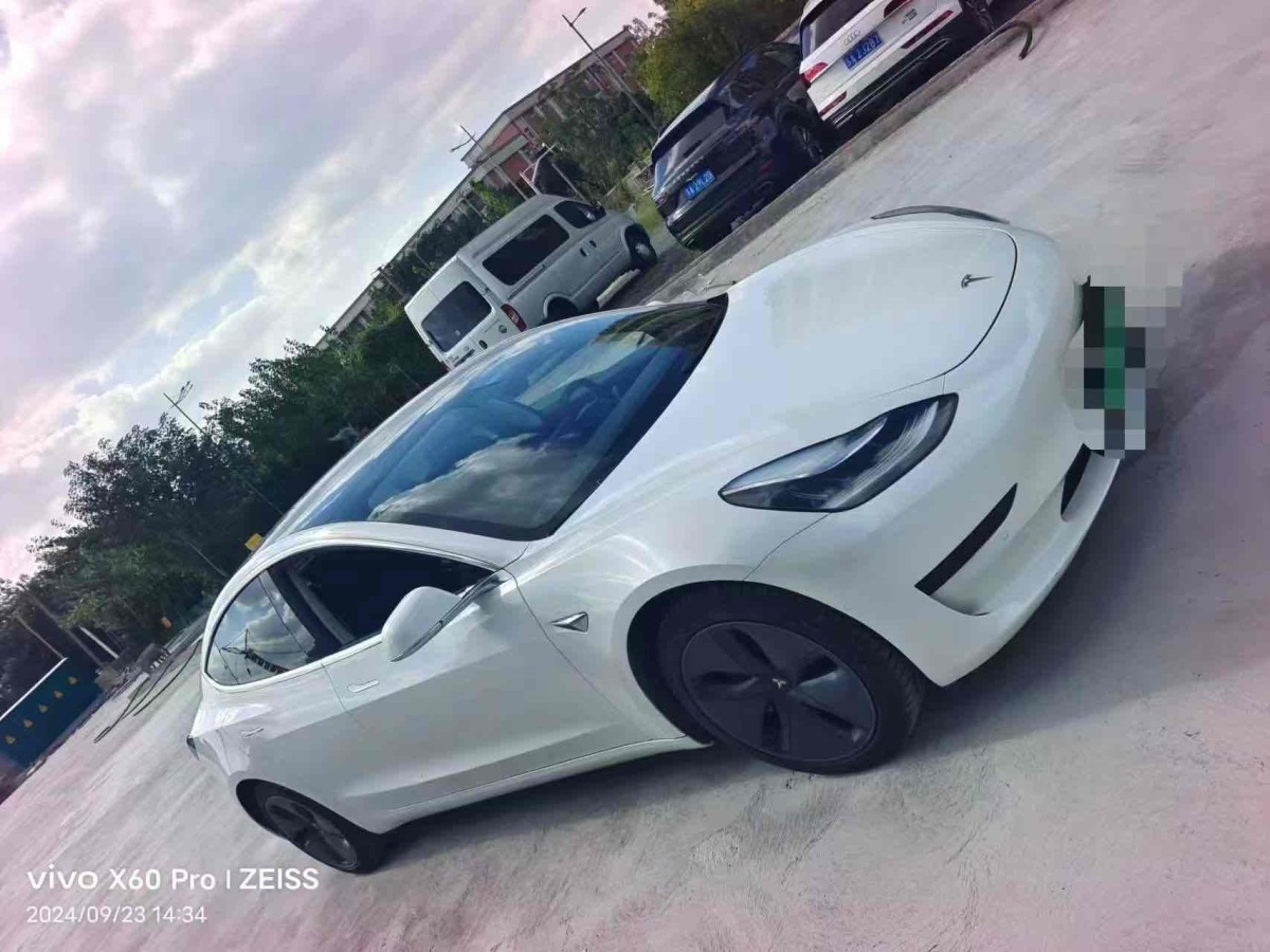 特斯拉 Model 3  2019款 标准续航后驱升级版图片