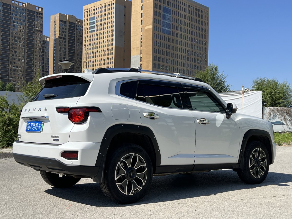 哈弗 哈弗二代大狗新能源  2023款 DHT-PHEV 105km 潮電版Plus圖片