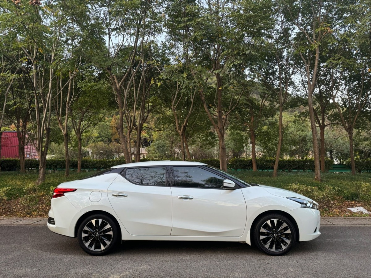 日產(chǎn) LANNIA 藍鳥  2019款 1.6L CVT智聯(lián)智酷版 國V圖片