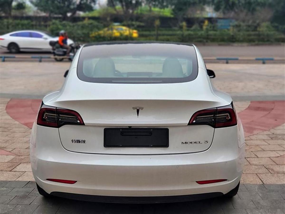 特斯拉 Model 3  2021款 改款 標(biāo)準(zhǔn)續(xù)航后驅(qū)升級(jí)版圖片