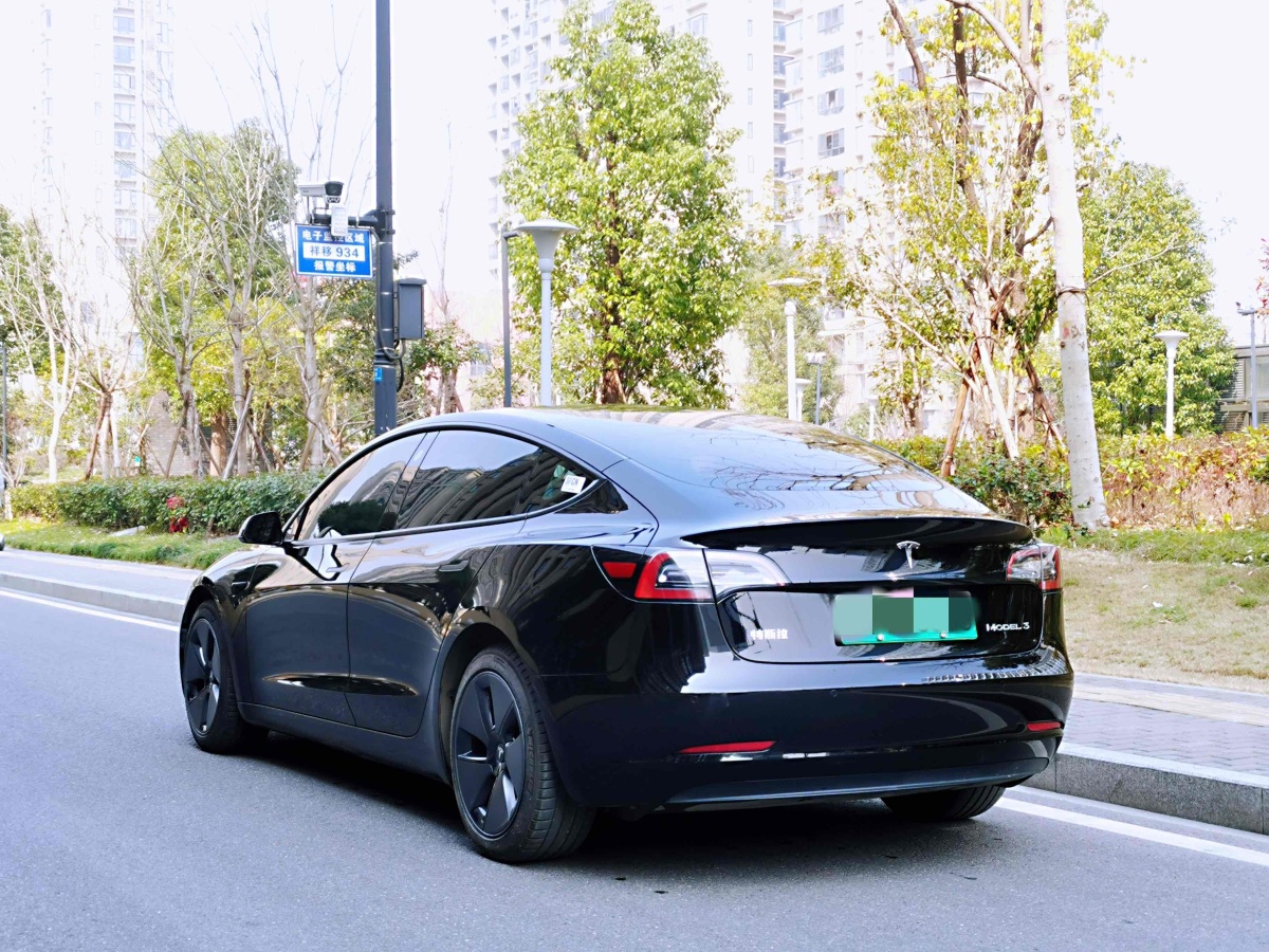 特斯拉 Model 3  2019款 標(biāo)準(zhǔn)續(xù)航后驅(qū)升級(jí)版圖片