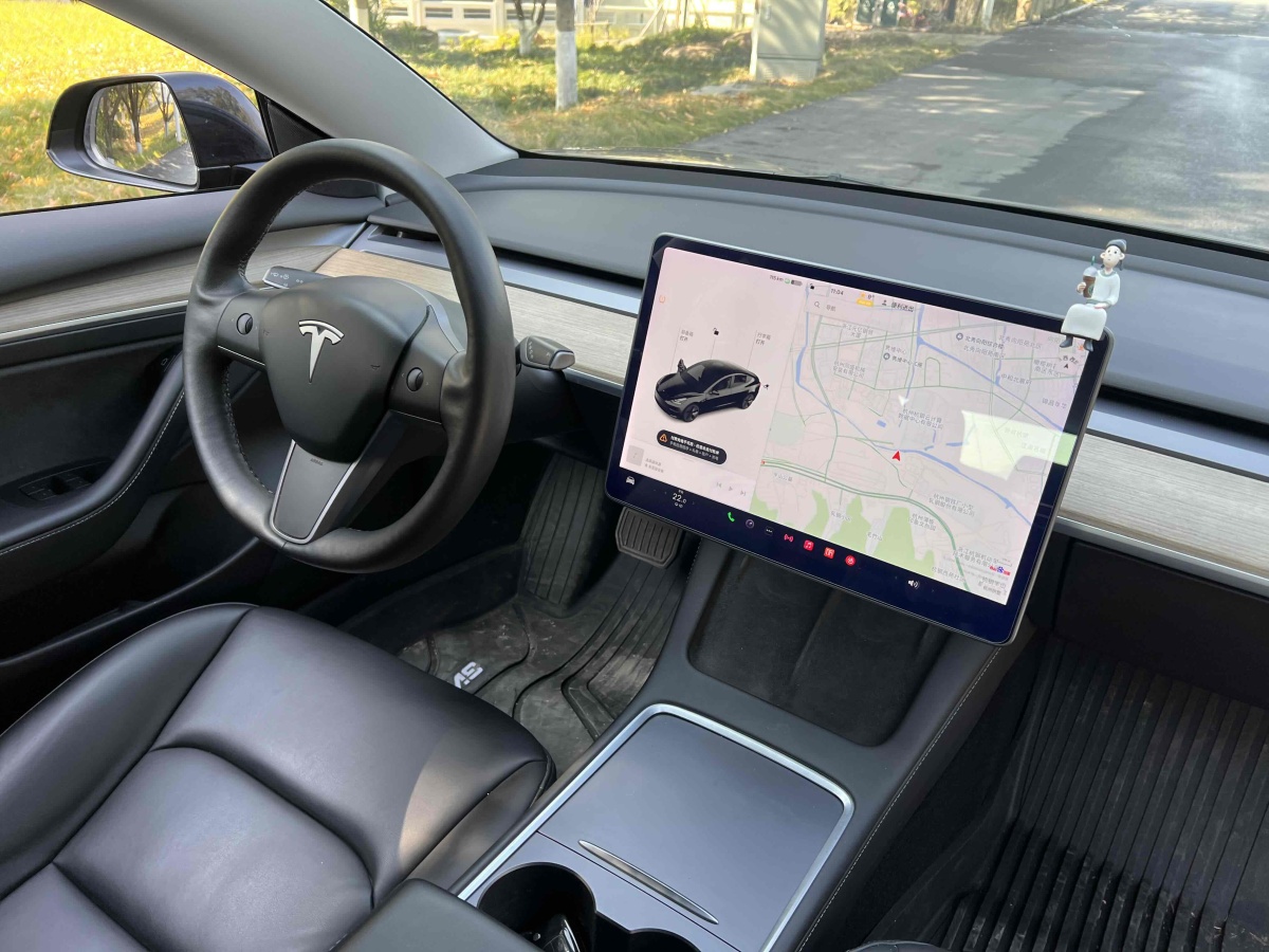 特斯拉 Model 3  2019款 標(biāo)準(zhǔn)續(xù)航后驅(qū)升級版圖片