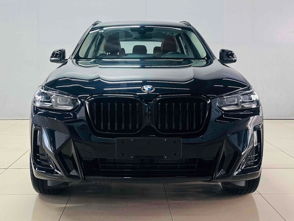寶馬 寶馬X3  2023款 xDrive30i 領(lǐng)先型 M曜夜套裝圖片