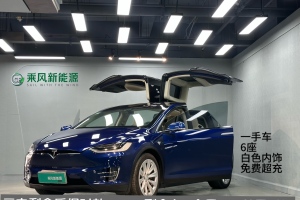 Model X 特斯拉 Model X 75D