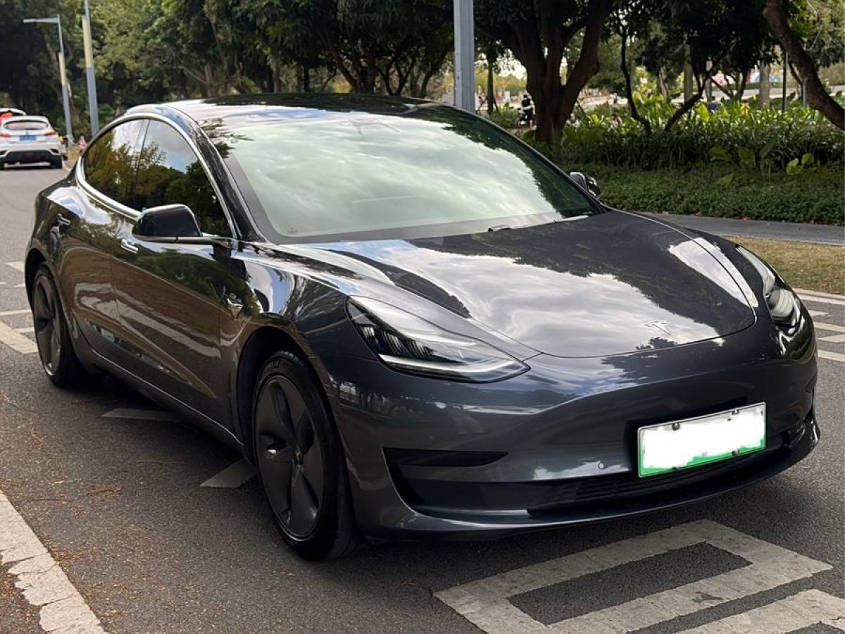 特斯拉 Model 3  2020款 改款 標(biāo)準(zhǔn)續(xù)航后驅(qū)升級(jí)版圖片