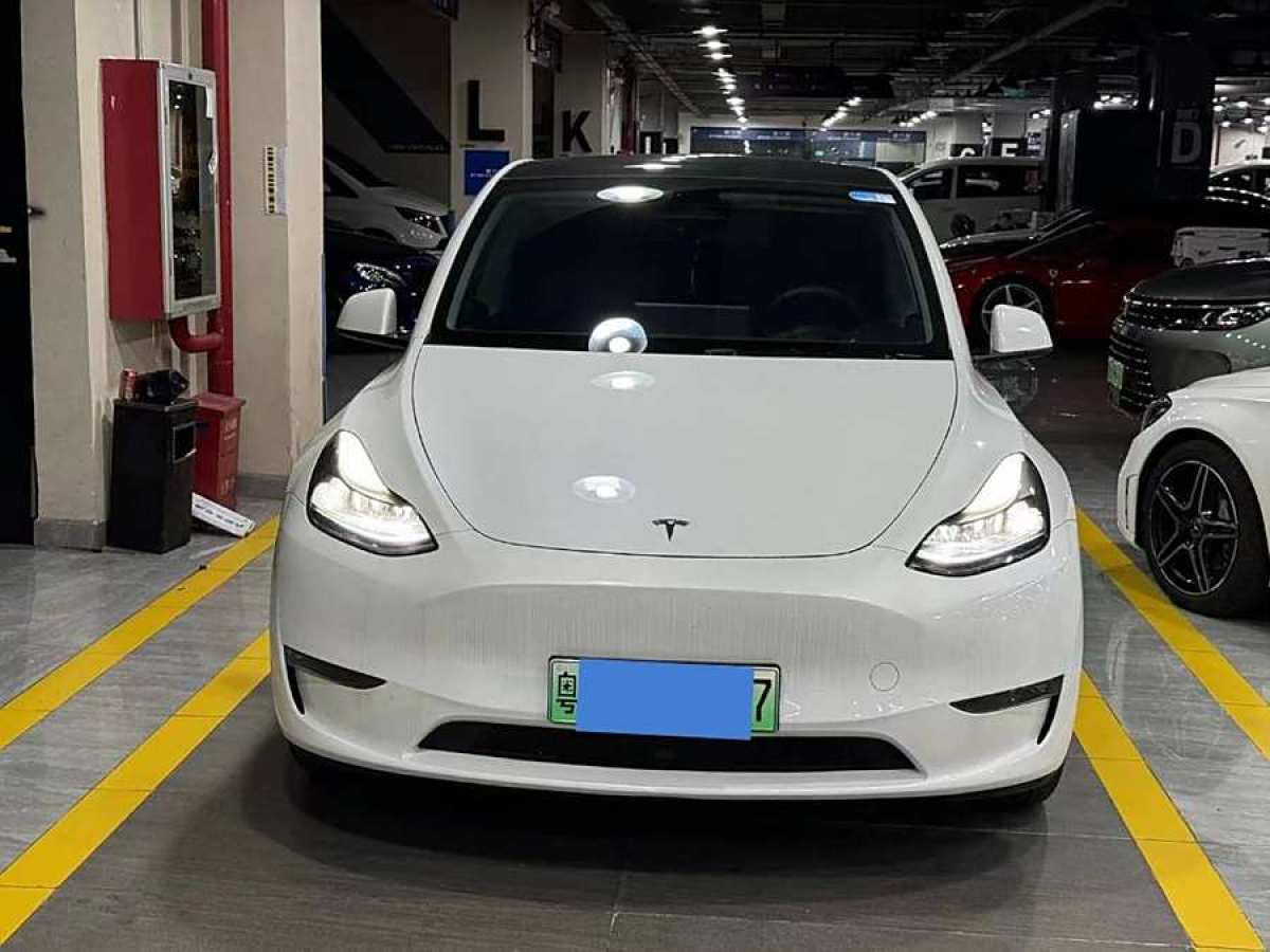 特斯拉 Model Y  2024款 長續(xù)航全輪驅(qū)動版圖片