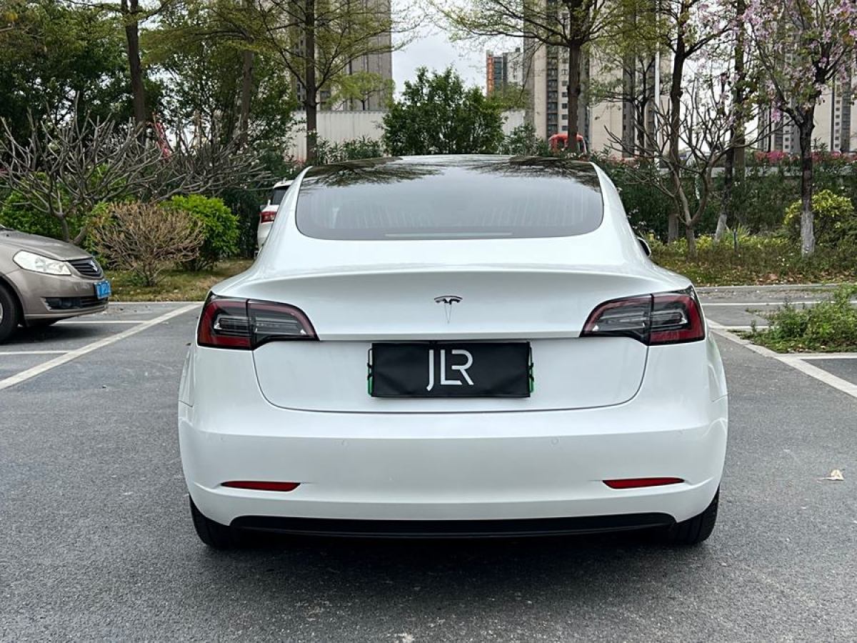 2020年1月特斯拉 Model 3  2019款 標(biāo)準(zhǔn)續(xù)航后驅(qū)升級(jí)版