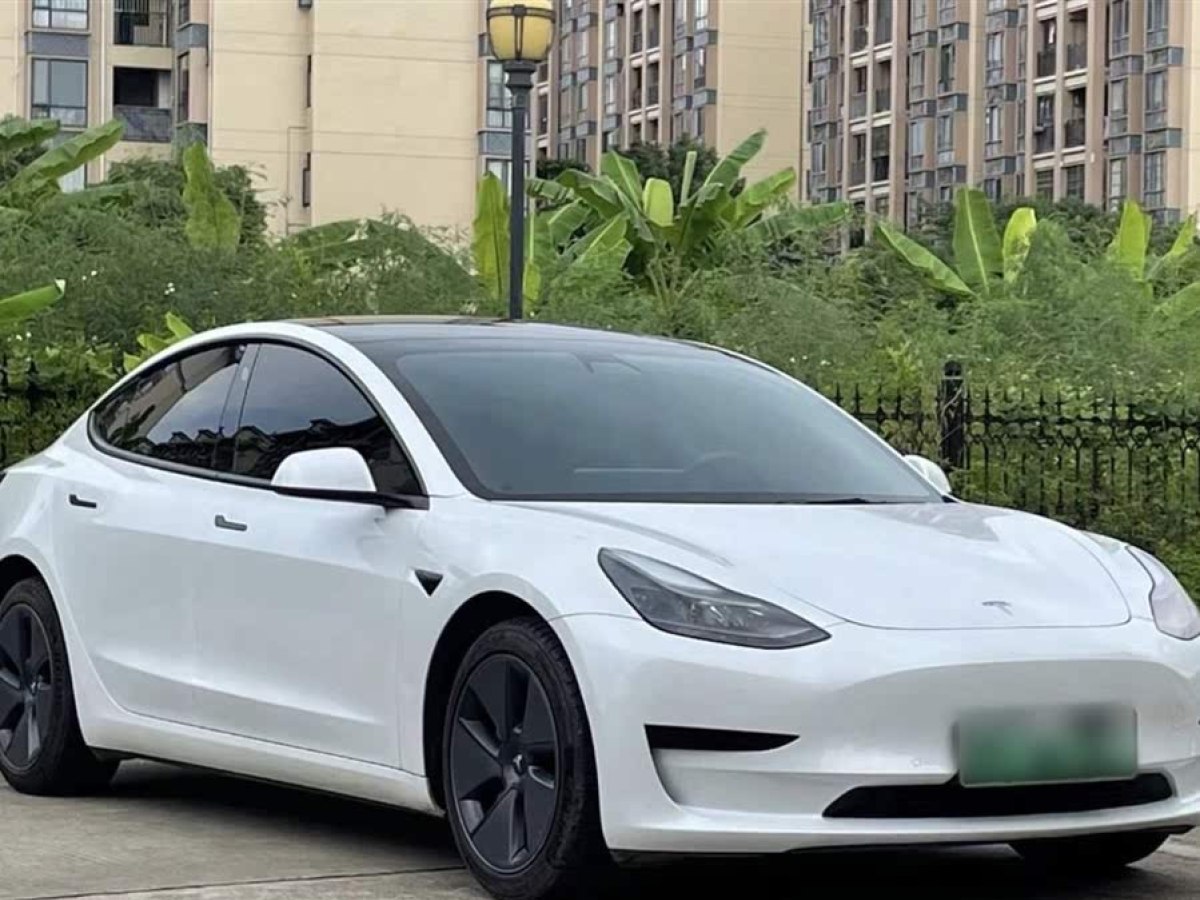 特斯拉 Model 3  2021款 改款 標(biāo)準(zhǔn)續(xù)航后驅(qū)升級(jí)版圖片