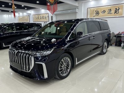 2023年11月 嵐圖 夢(mèng)想家 PHEV 超長(zhǎng)續(xù)航旗艦版圖片