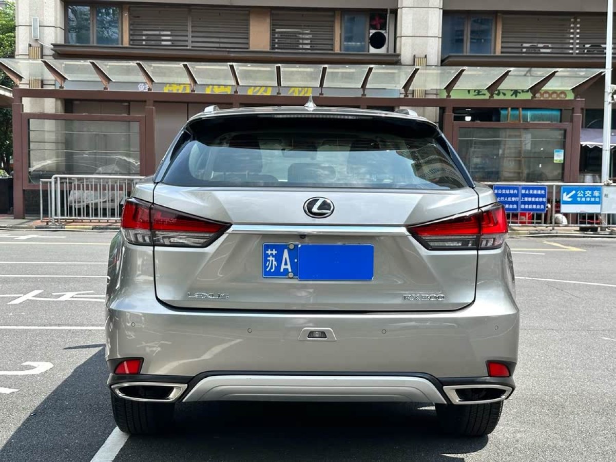 雷克薩斯 RX  2020款 300 兩驅(qū)舒適版 國VI圖片