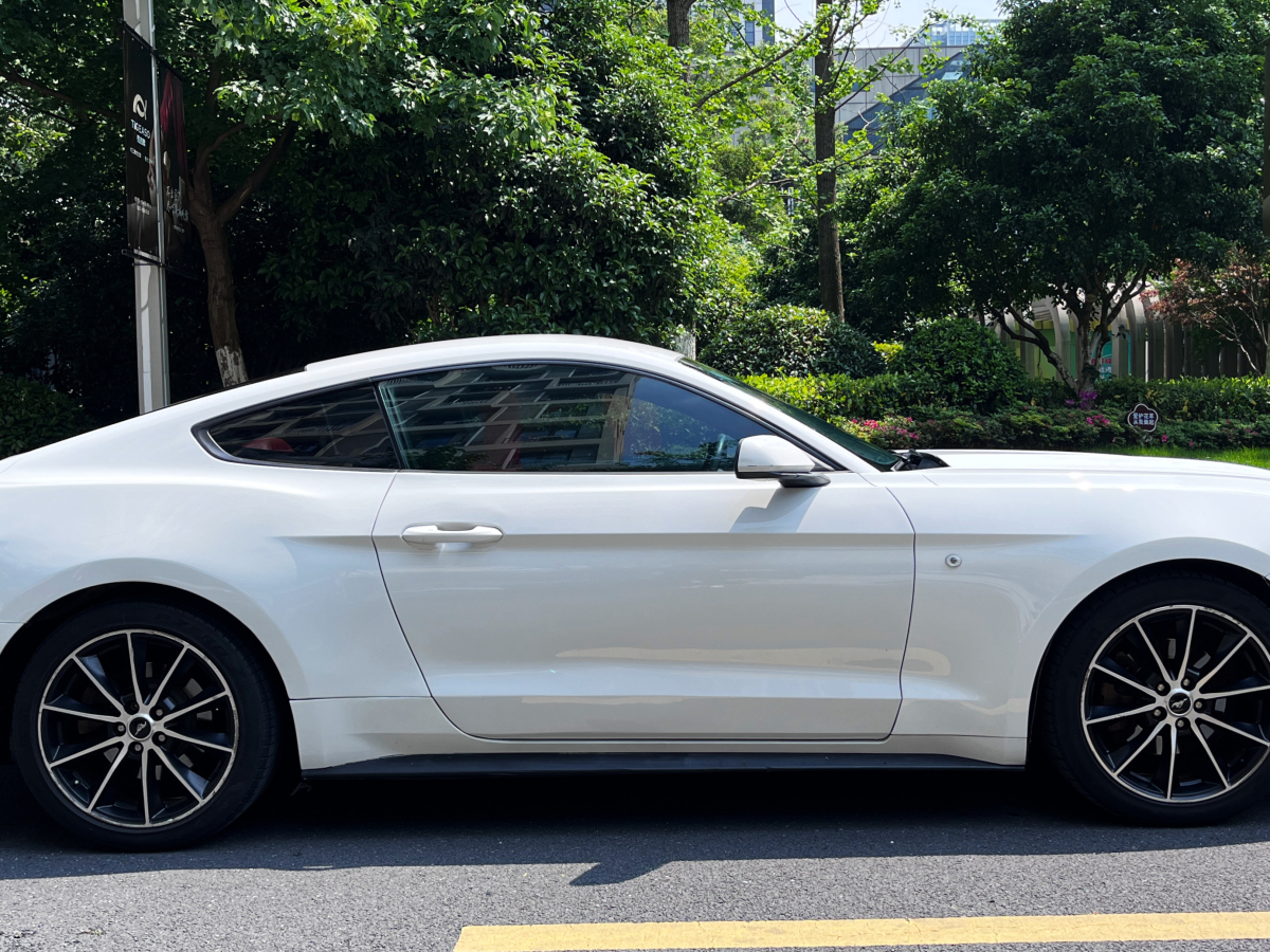 福特 Mustang  2015款 2.3T 50周年纪念版图片