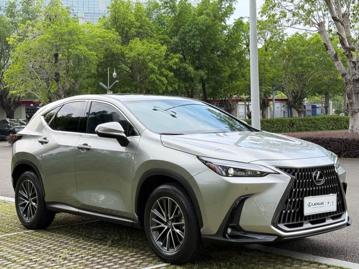 雷克薩斯 NX  2024款 260 前驅(qū) 創(chuàng)悅版圖片