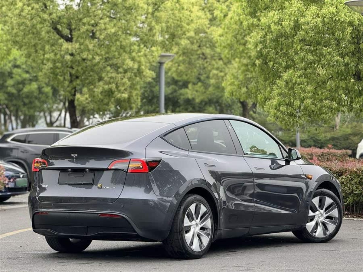 特斯拉 Model Y  2021款 長(zhǎng)續(xù)航全輪驅(qū)動(dòng)版 3D7圖片