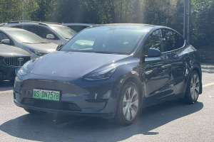 Model 3 特斯拉 標(biāo)準(zhǔn)續(xù)航后驅(qū)升級(jí)版 3D6