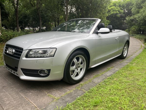 奥迪 奥迪A5  2010款 2.0TFSI Cabriolet