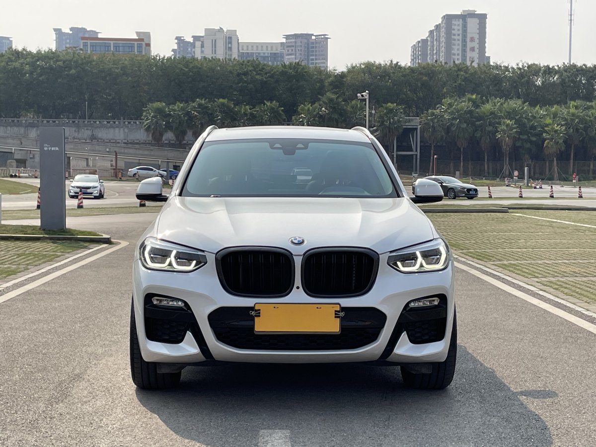 2019年3月寶馬 寶馬X3  2018款 xDrive30i 領(lǐng)先型 M運動套裝 國V