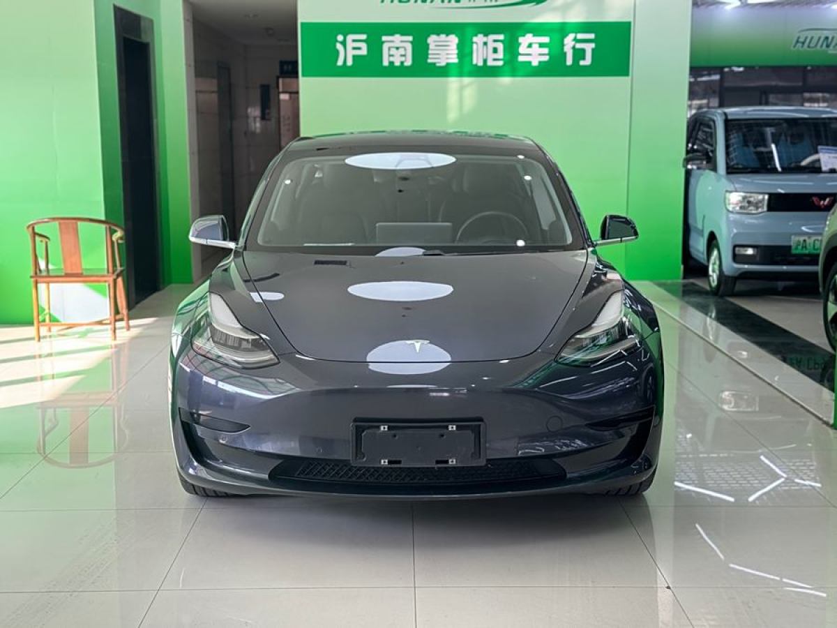 特斯拉 Model 3  2020款 改款 標(biāo)準(zhǔn)續(xù)航后驅(qū)升級(jí)版圖片