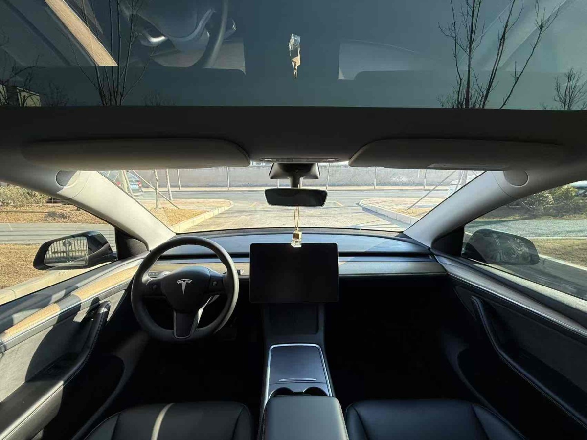 特斯拉 Model 3  2022款 后輪驅(qū)動版圖片