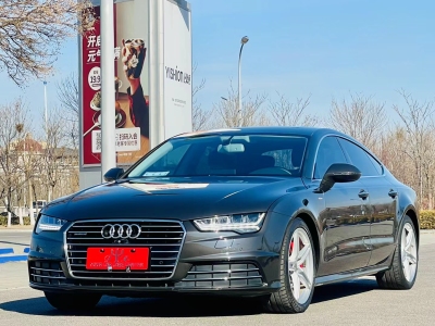 2017年9月 奧迪 奧迪A7(進(jìn)口) 40 TFSI quattro 技術(shù)型圖片