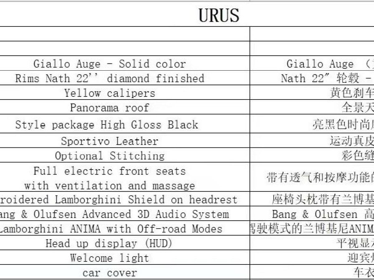 兰博基尼 Urus  2021款 4.0T V8图片