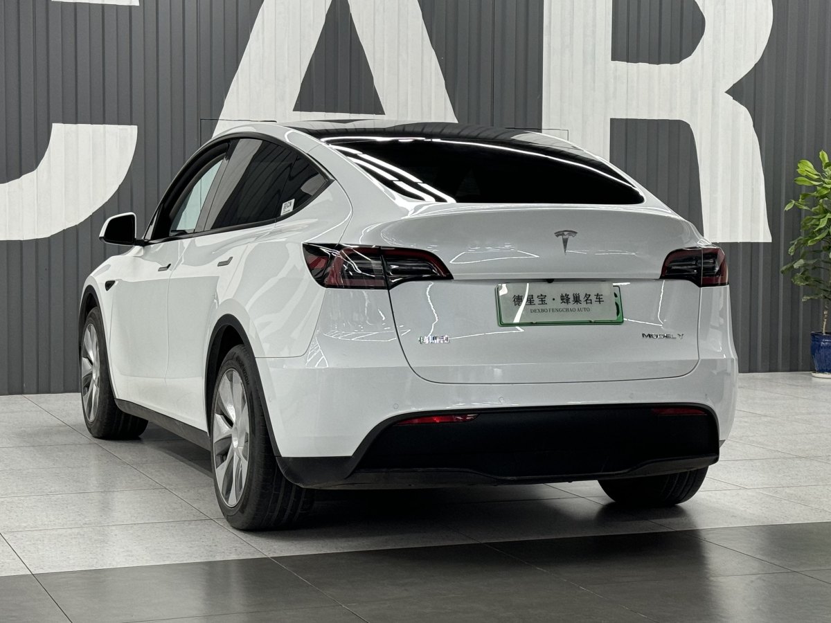 特斯拉 Model 3  2022款 后輪驅(qū)動版圖片