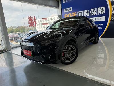 2022年7月 福特 Mustang Mach-E(進(jìn)口) GT圖片