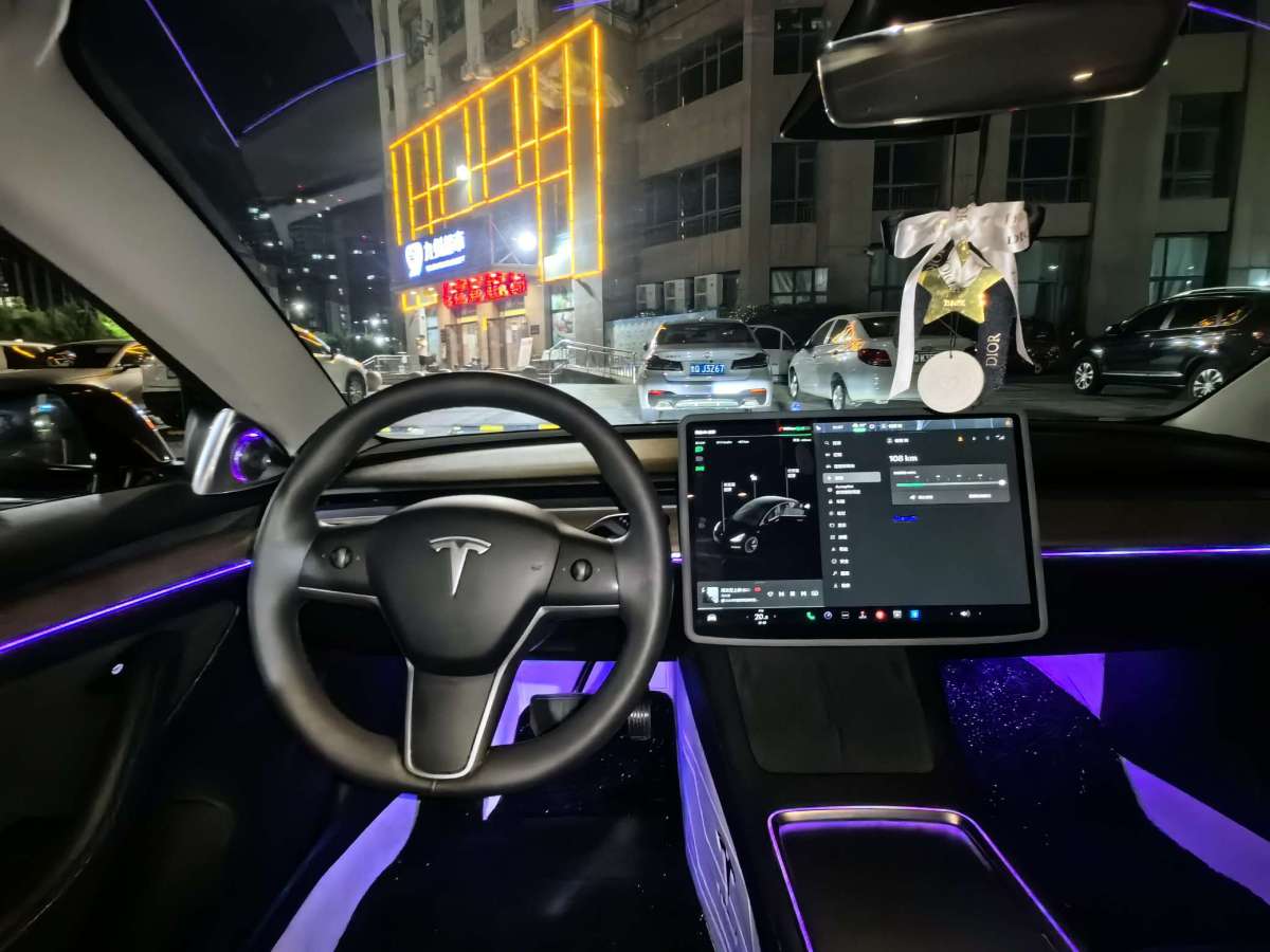 2023年3月特斯拉 Model 3  2022款 改款 后輪驅動版