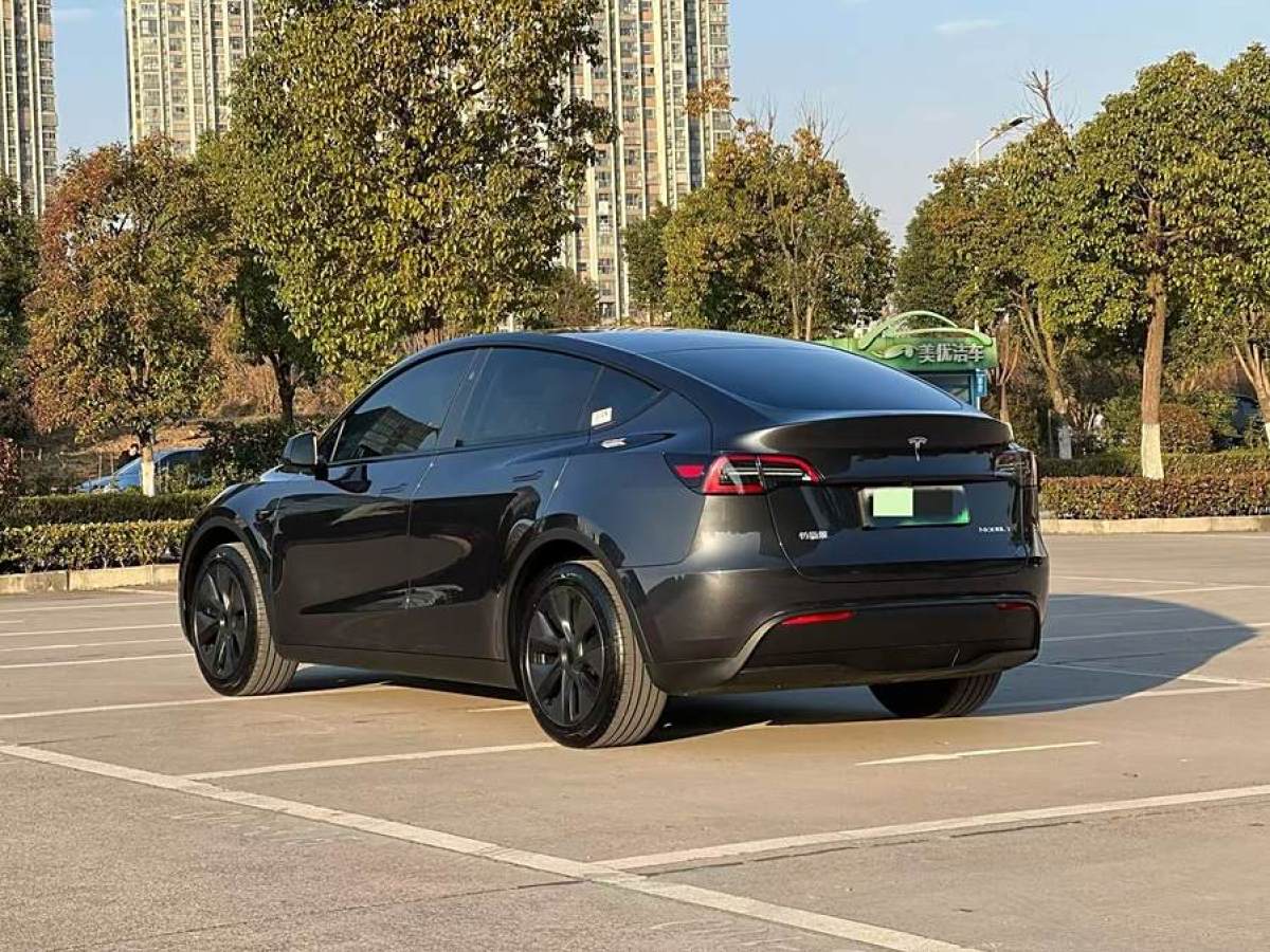 特斯拉 Model 3  2020款 改款 長(zhǎng)續(xù)航后輪驅(qū)動(dòng)版圖片