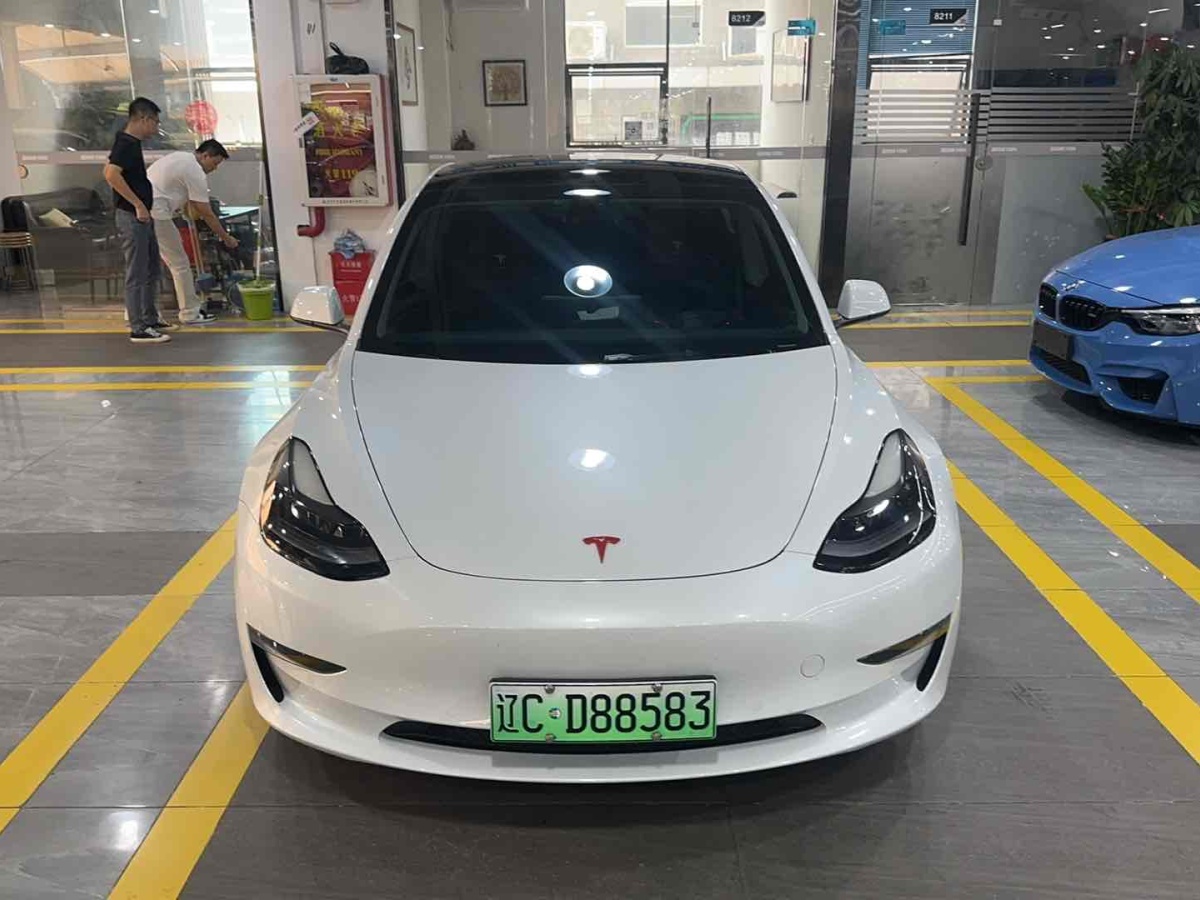 特斯拉 Model 3  2019款 Performance高性能全輪驅(qū)動版圖片