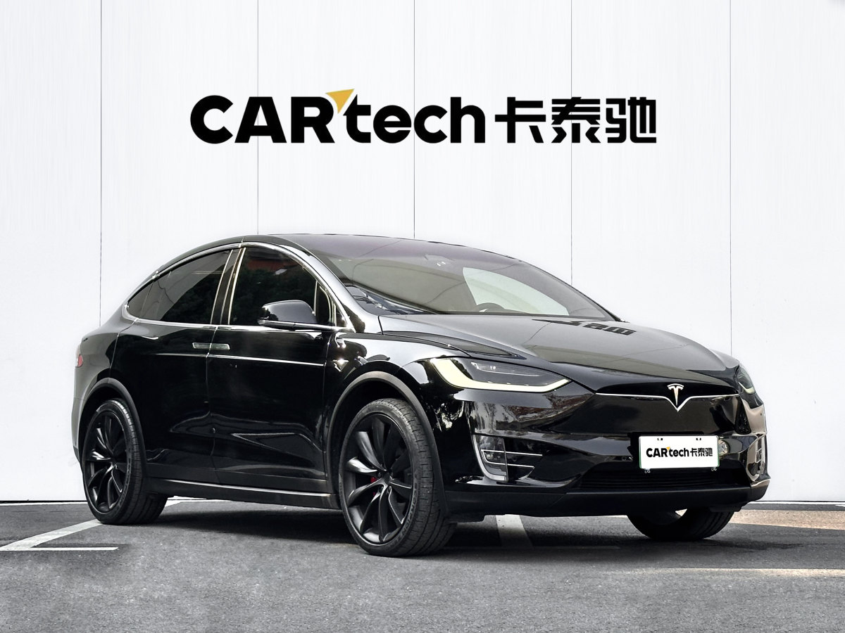 特斯拉 Model X  2019款 Performance 高性能版圖片