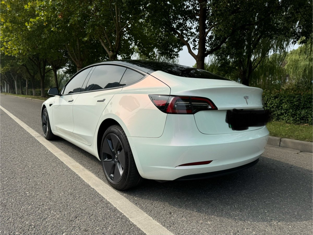 特斯拉 Model 3  2022款 改款 后輪驅(qū)動(dòng)版圖片