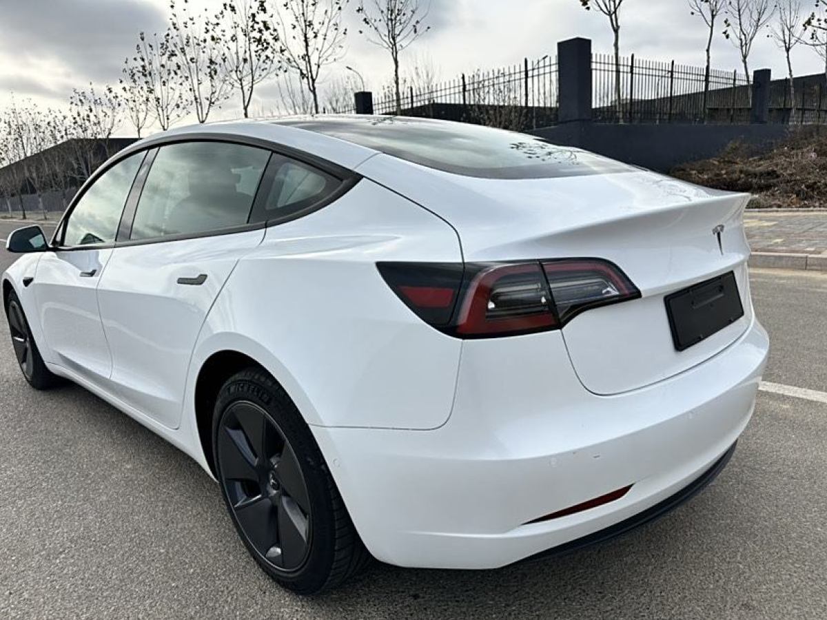 特斯拉 Model 3  2021款 改款 標準續(xù)航后驅升級版圖片