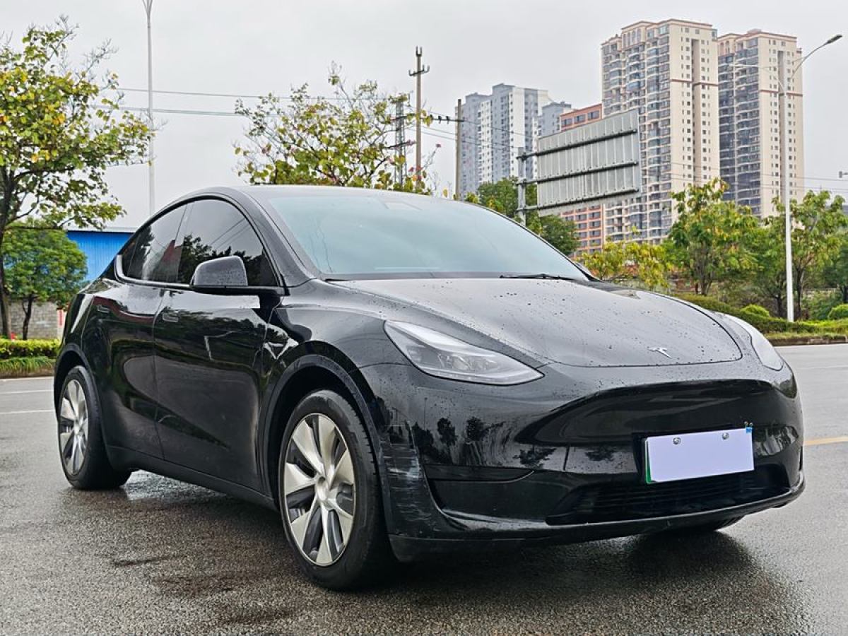 2022年3月特斯拉 Model 3  2022款 后輪驅(qū)動版