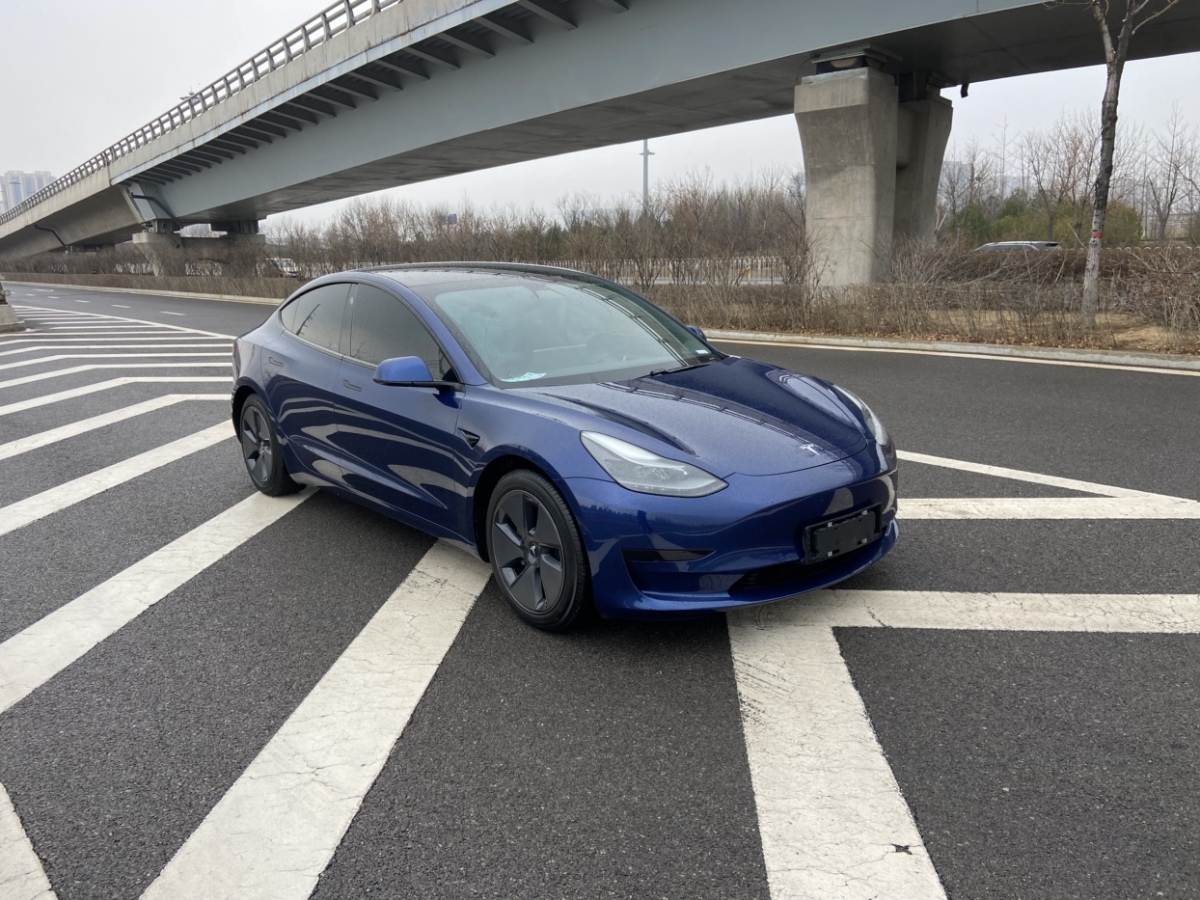 2021年01月特斯拉 Model 3  2019款 標(biāo)準(zhǔn)續(xù)航后驅(qū)升級(jí)版