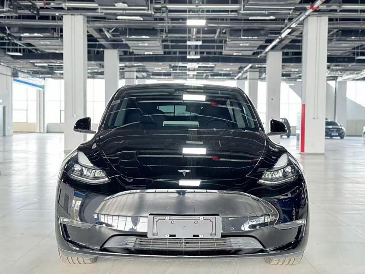 特斯拉 Model 3  2021款 改款 標(biāo)準續(xù)航后驅(qū)升級版圖片