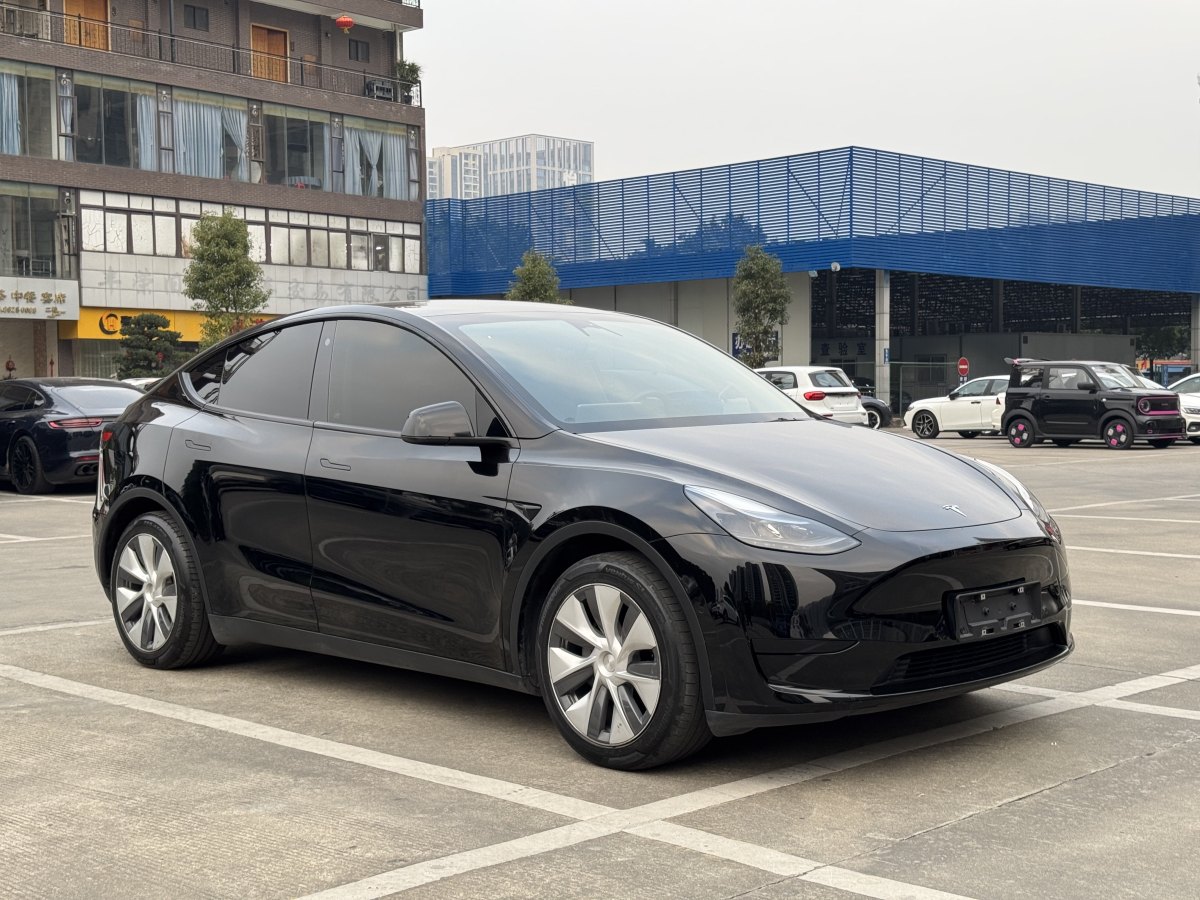 特斯拉 Model 3  2020款 改款 長續(xù)航后輪驅(qū)動版圖片