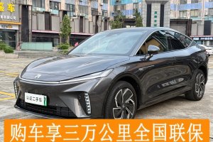 飛凡R7 R汽車 進階版