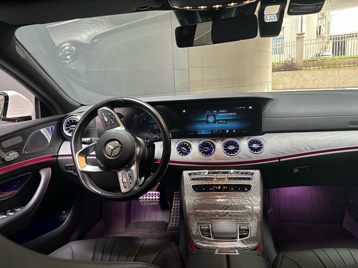 奔驰 奔驰CLS级  2021款 改款 CLS 300 豪华型图片