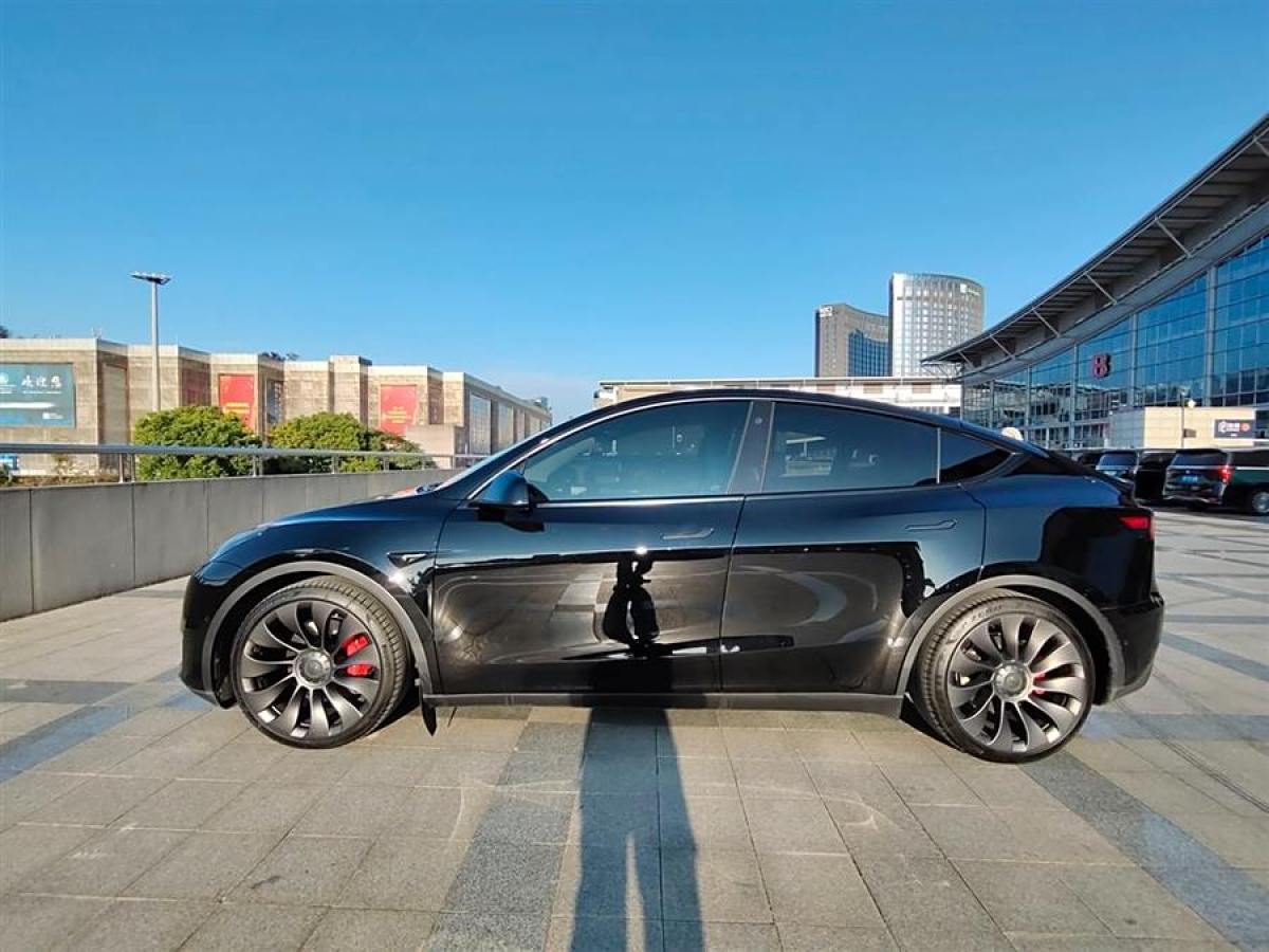 特斯拉 Model 3  2022款 Performance高性能全輪驅(qū)動(dòng)版圖片