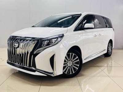 2021年1月 廣汽傳祺 M8 領(lǐng)秀系列 390T 尊貴福祉版圖片