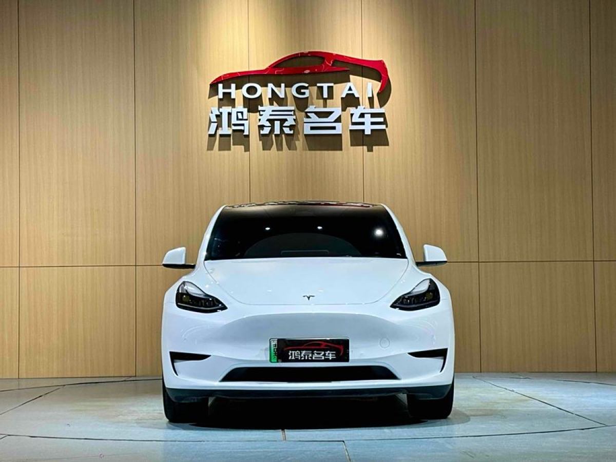 特斯拉 Model Y  2020款 改款 長續(xù)航后輪驅(qū)動(dòng)版圖片