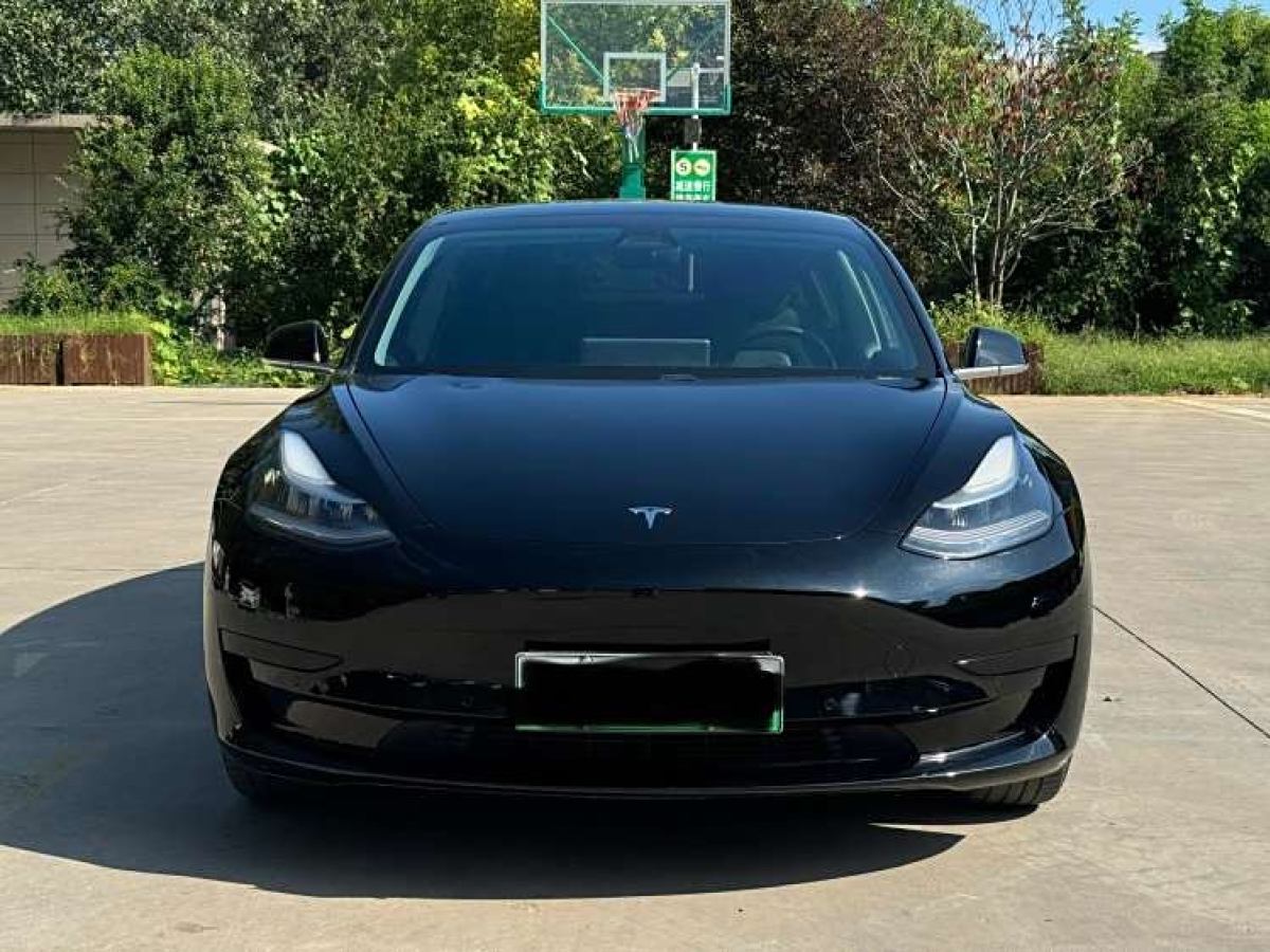 特斯拉 Model Y  2020款 改款 標(biāo)準(zhǔn)續(xù)航后驅(qū)升級版圖片