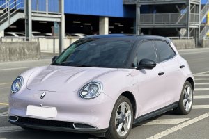 歐拉好貓 歐拉 400km標(biāo)準(zhǔn)續(xù)航 雅典娜版