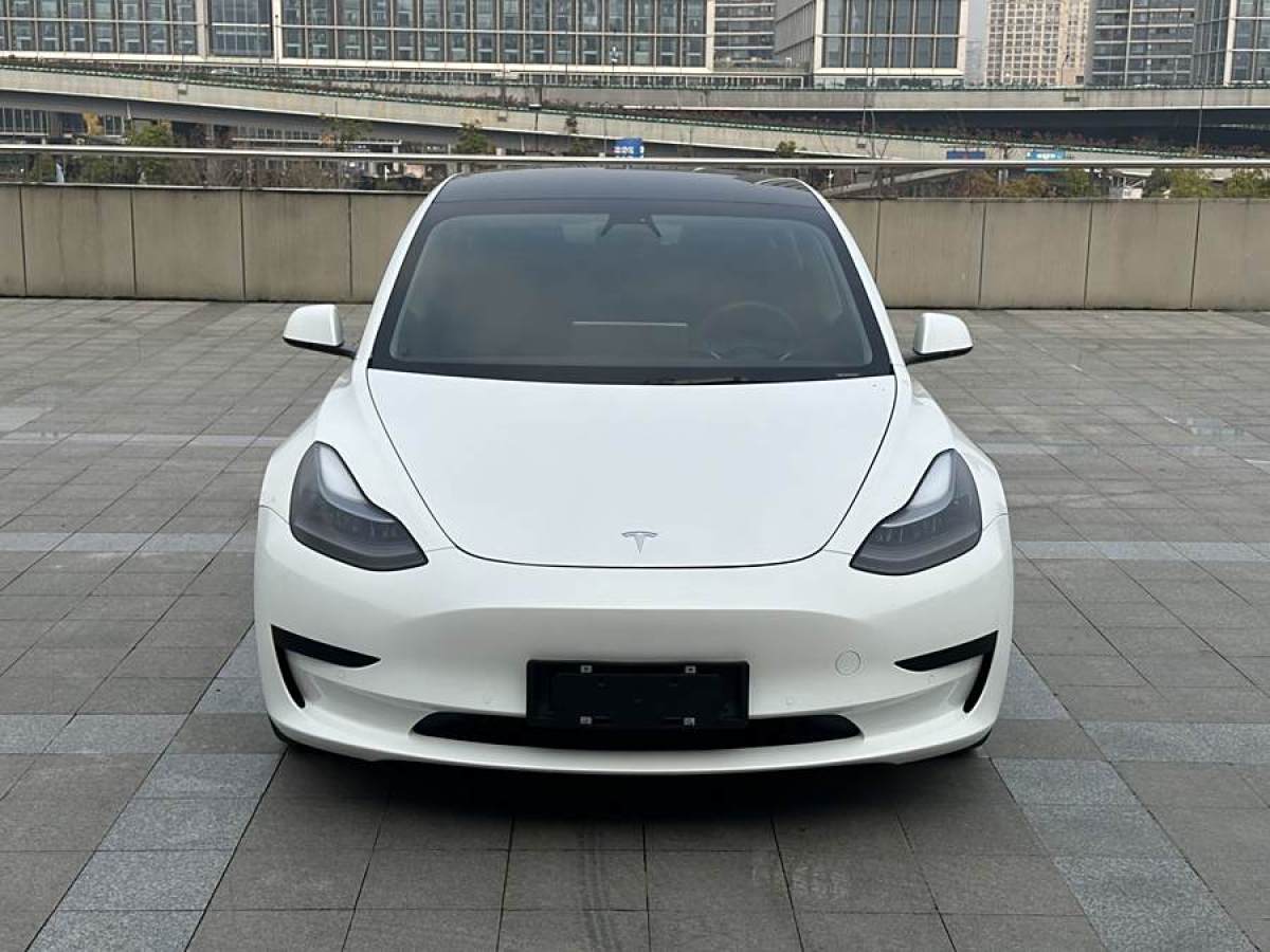 特斯拉 Model 3  2021款 改款 標(biāo)準(zhǔn)續(xù)航后驅(qū)升級(jí)版圖片